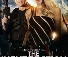 The Insurrection 2020