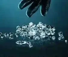 Stolen: Heist of the Century 2025