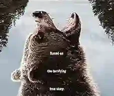 Grizzly Night 2026