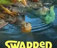 Swapped 2026