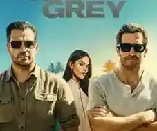 In the Grey 2026